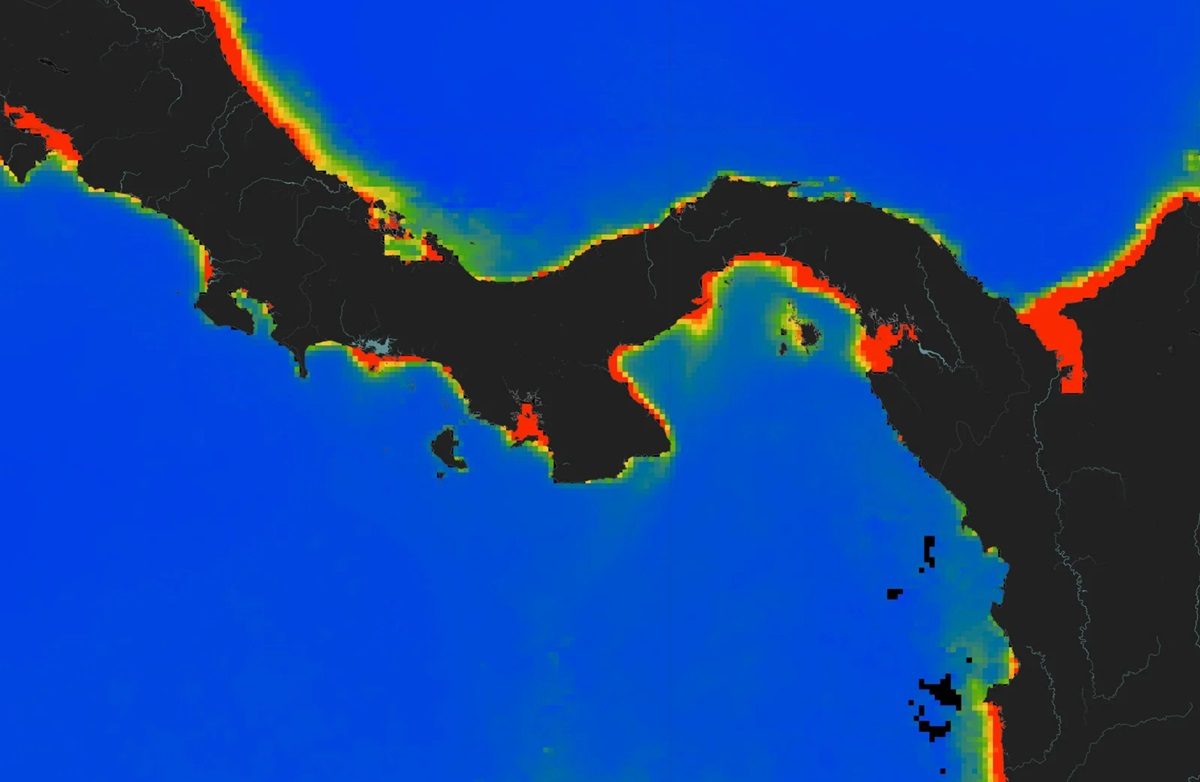 El afloramiento del golfo de Panamá actúa como un motor natural de fertilización.