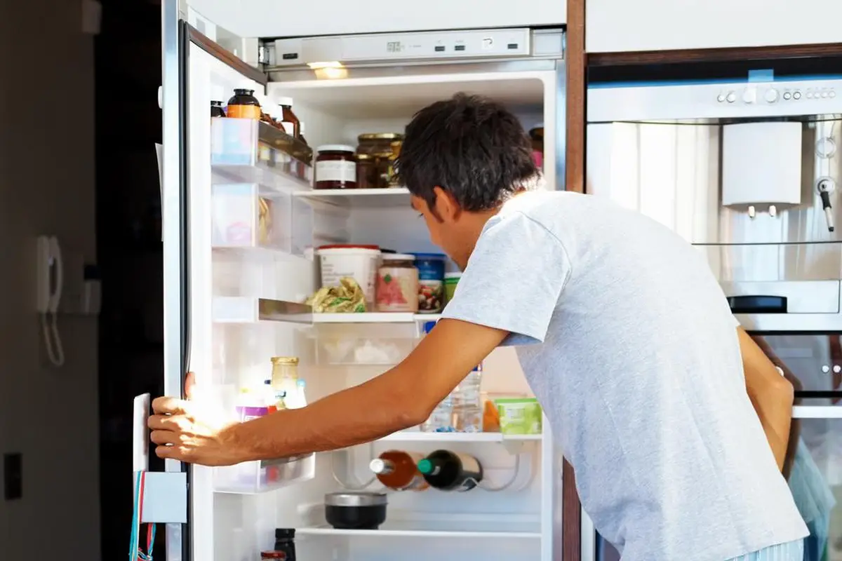 Abrió la nevera y miró si todo estaba en orden