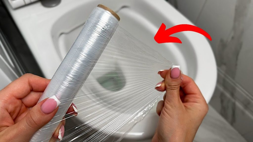 Para evitar que esto suceda, no tire toallitas húmedas, artículos de higiene o restos de comida por el inodoro.