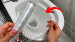 Para evitar que esto suceda, no tire toallitas húmedas, artículos de higiene o restos de comida por el inodoro.