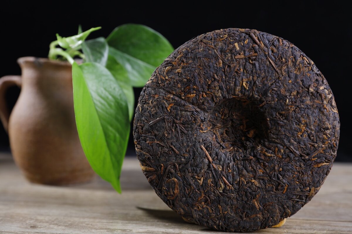 té prensado pu-erh