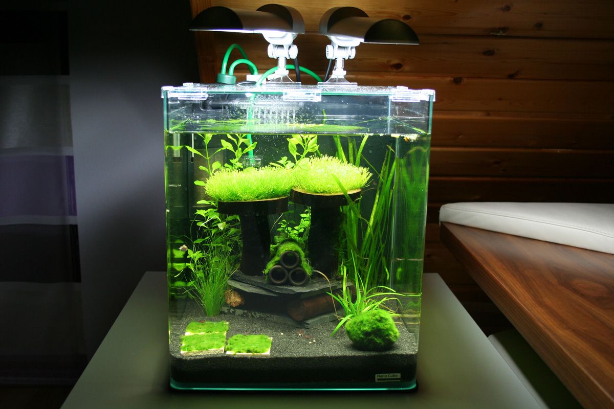 acuario con climatización