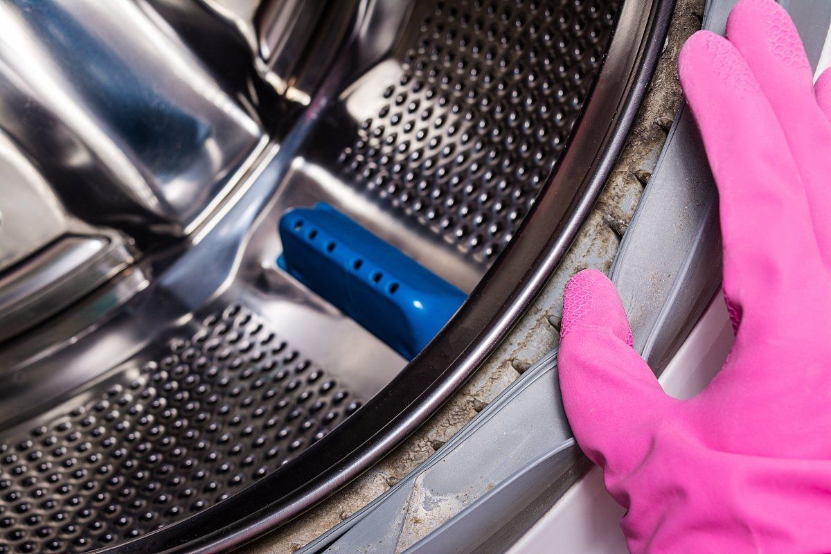 Moho y suciedad en la junta de goma de la lavadora.